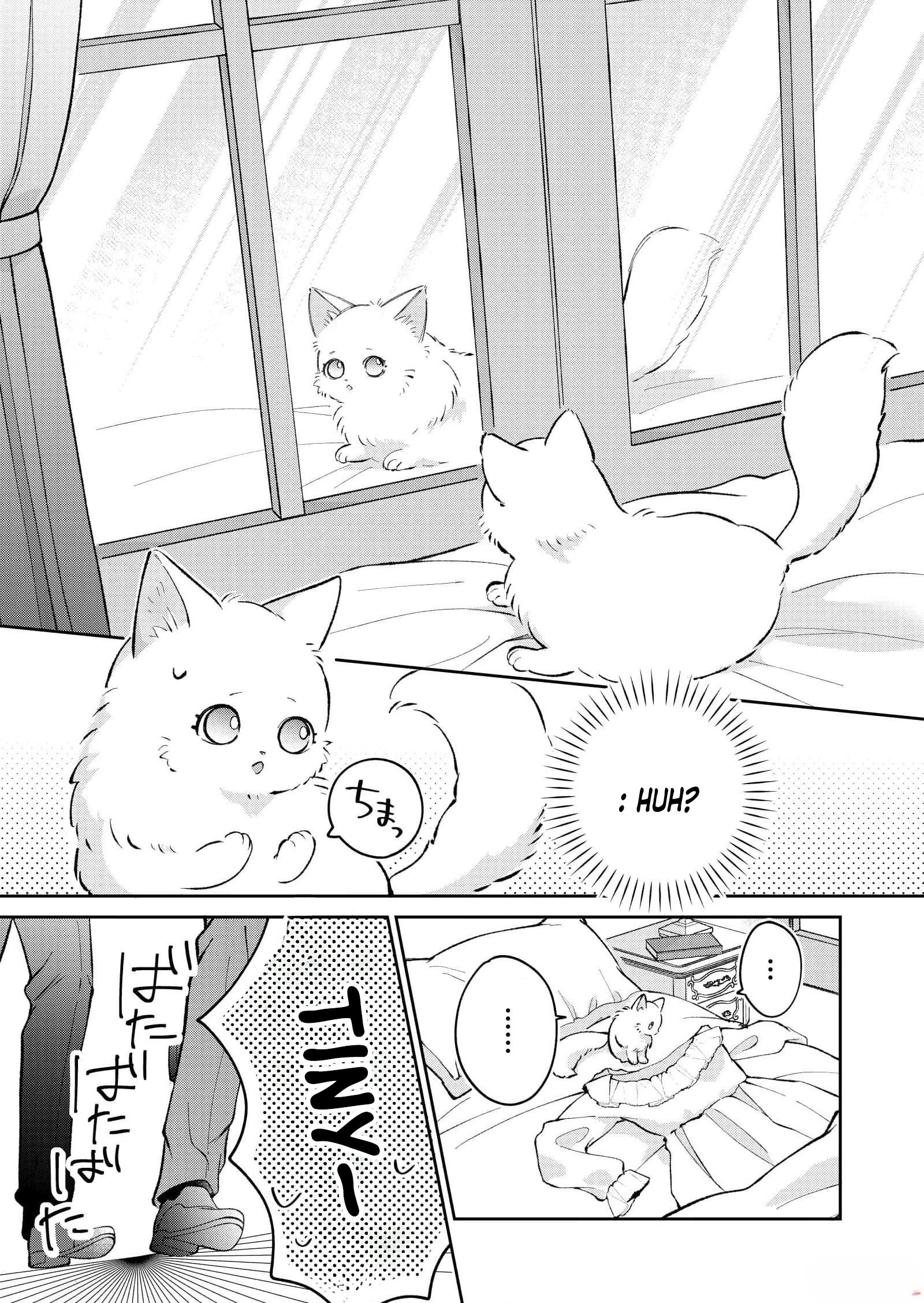 The Lady Betrayed by Her Fiancé Is Beloved by the Stern Lord Chapter 1 Page 8